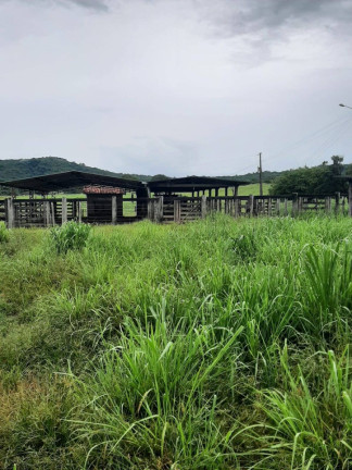 Imagem Fazenda à Venda, 33 m² em Zona Rural - Montes Claros De Goiás Imagem Fazenda à Venda, 33 m² em Zona Rural - Montes Claros De Goiás