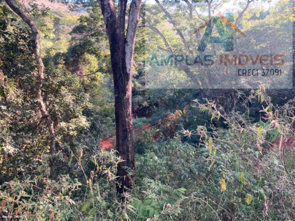 Imagem Fazenda à Venda, 2 m² em Pequi
