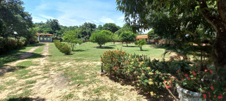 Imagem Imóvel com 3 Quartos à Venda, 23.000 m² em Povoado Calengue - Teresina Imagem Imóvel com 3 Quartos à Venda, 23.000 m² em Povoado Calengue - Teresina