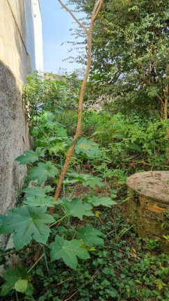 Imagem Terreno à Venda, 378 m² em Iguaçu - Fazenda Rio Grande Imagem Terreno à Venda, 378 m² em Iguaçu - Fazenda Rio Grande