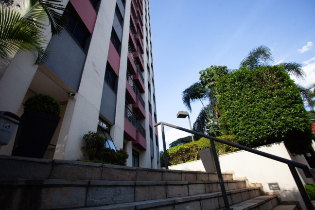 Imagem Apartamento com 2 Quartos à Venda, 50 m² em Freguesia Do ó - São Paulo Imagem Apartamento com 2 Quartos à Venda, 50 m² em Freguesia Do ó - São Paulo