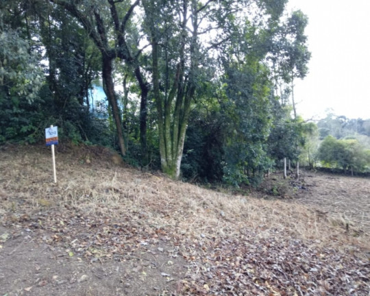 Imagem Imóvel à Venda, 432 m² em Centro - Nova Petrópolis Imagem Imóvel à Venda, 432 m² em Centro - Nova Petrópolis