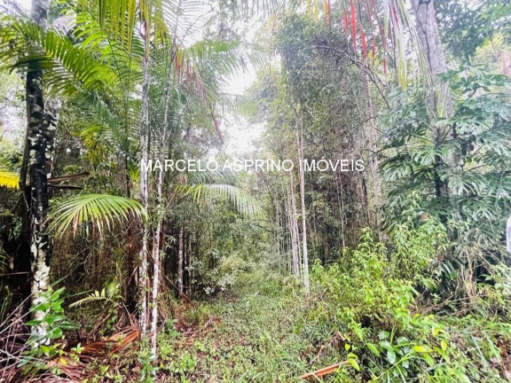 Imagem Imóvel com 3 Quartos à Venda, 5 m² em Retiro - Ilhéus Imagem Imóvel com 3 Quartos à Venda, 5 m² em Retiro - Ilhéus