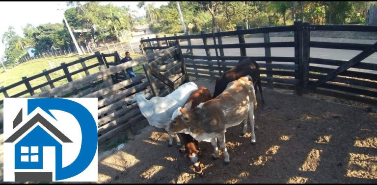 Imagem Chácara com 2 Quartos à Venda, 7 m² em Rural - Itapetininga Imagem Chácara com 2 Quartos à Venda, 7 m² em Rural - Itapetininga