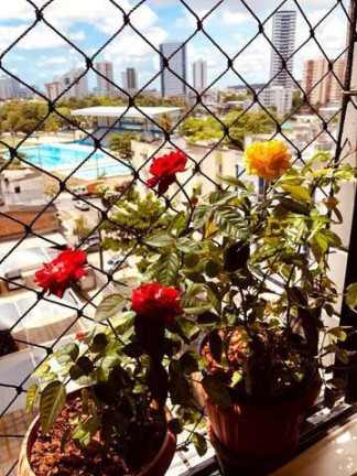 Imagem Apartamento com 2 Quartos à Venda, 46 m² em Boa Viagem - Recife Imagem Apartamento com 2 Quartos à Venda, 46 m² em Boa Viagem - Recife