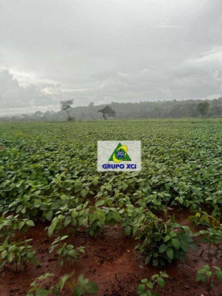 Imagem Fazenda à Venda, 3.388.000 m² em Zona Rural - Ponte Alta Do Tocantins Imagem Fazenda à Venda, 3.388.000 m² em Zona Rural - Ponte Alta Do Tocantins