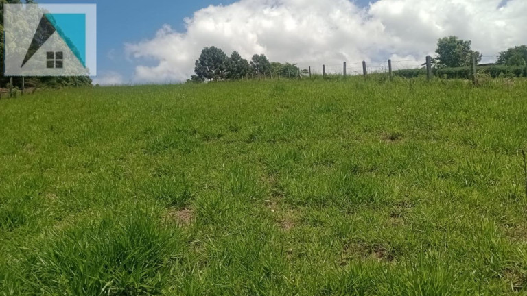 Imagem Chácara à Venda, 2.000 m² em Bairro Santo Expedito - Toledo