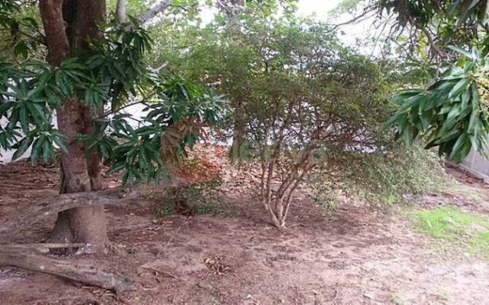 Imagem Casa com 2 Quartos à Venda, 360 m² em Caminho De Búzios - Cabo Frio Imagem Casa com 2 Quartos à Venda, 360 m² em Caminho De Búzios - Cabo Frio
