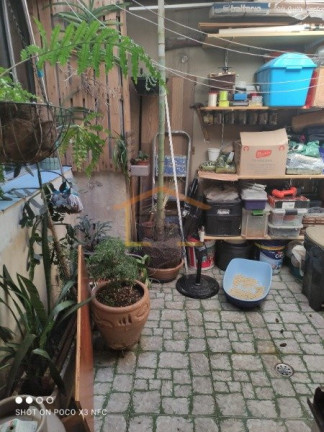 Imagem Apartamento com 3 Quartos à Venda, 100 m² em Vila Paulicéia - São Paulo Imagem Apartamento com 3 Quartos à Venda, 100 m² em Vila Paulicéia - São Paulo