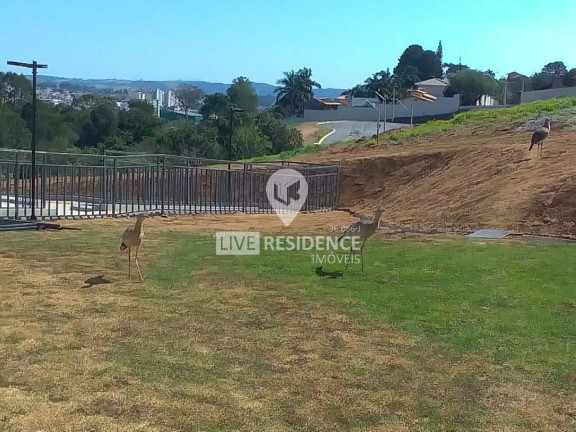 Imagem Terreno em Condomínio à Venda, 392 m² em Condomínio Portal De San Giovani - Itatiba Imagem Terreno em Condomínio à Venda, 392 m² em Condomínio Portal De San Giovani - Itatiba