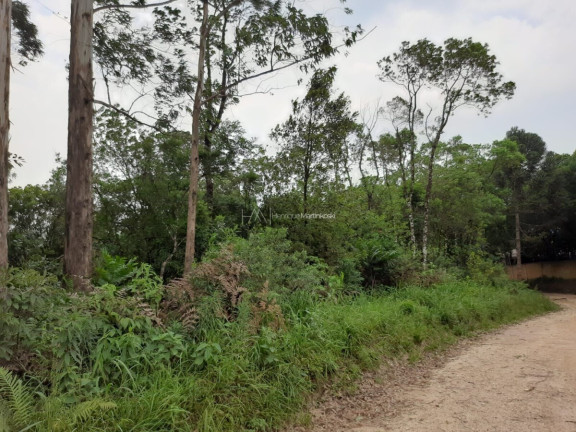 Imagem Fazenda à Venda, 127.997 m² em Pacotuba - Almirante Tamandaré