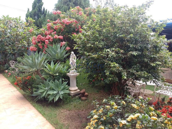 Imagem Casa com 3 Quartos à Venda, 300 m² em Parque Dos Eucaliptos - Pirassununga Imagem Casa com 3 Quartos à Venda, 300 m² em Parque Dos Eucaliptos - Pirassununga