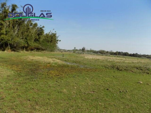 Imagem Chácara à Venda, 20.000 m² em águas Claras - Viamão