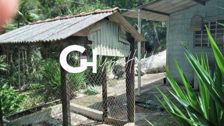 Imagem Chácara com 5 Quartos à Venda, 7.000 m² em Vila Elvio - Piedade