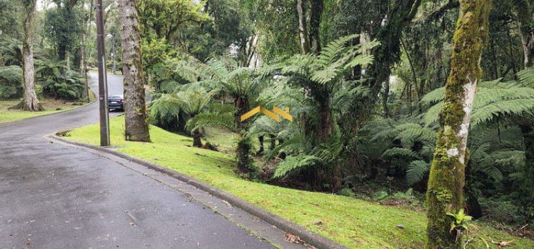 Imagem Terreno à Venda, 1.093 m² em Floresta - Gramado Imagem Terreno à Venda, 1.093 m² em Floresta - Gramado