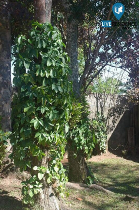 Imagem Casa com 3 Quartos à Venda, 500 m² em Jardim Celeste - Jundiaí