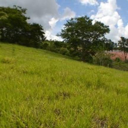 Imagem Imóvel à Venda, 20.000 m² em Sítio Da Moenda - Itatiba Imagem Imóvel à Venda, 20.000 m² em Sítio Da Moenda - Itatiba