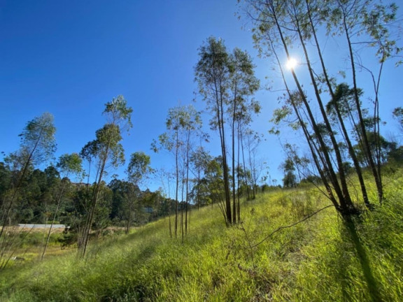 Imagem Terreno à Venda, 320.000 m² em Terra Preta (terra Preta) - Mairiporã Imagem Terreno à Venda, 320.000 m² em Terra Preta (terra Preta) - Mairiporã
