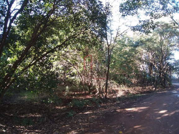 Imagem Imóvel à Venda, 5.000 m² em João Aranha - Paulínia