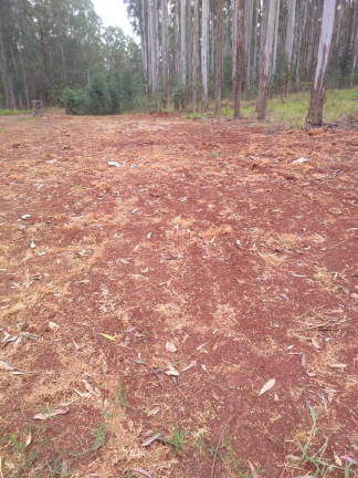 Imagem Chácara à Venda, 155 m² em Centro - Tupã Imagem Chácara à Venda, 155 m² em Centro - Tupã