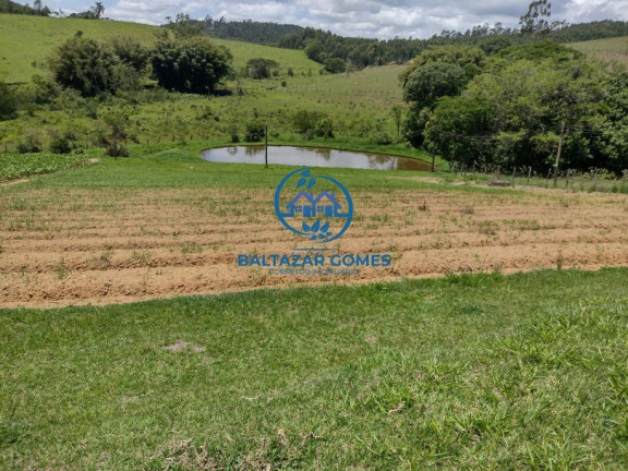Imagem Imóvel com 2 Quartos à Venda, 5.000 m² em Salesópolis Imagem Imóvel com 2 Quartos à Venda, 5.000 m² em Salesópolis