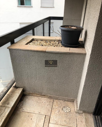 Imagem Apartamento com 4 Quartos à Venda, 181 m² em Vila Sônia - São Paulo