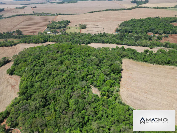 Chácara à Venda, 20 m² em Coqueiral - Cascavel