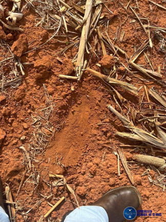 Imagem Fazenda à Venda, 222 m² em Zona Rural - Porangatu Imagem Fazenda à Venda, 222 m² em Zona Rural - Porangatu