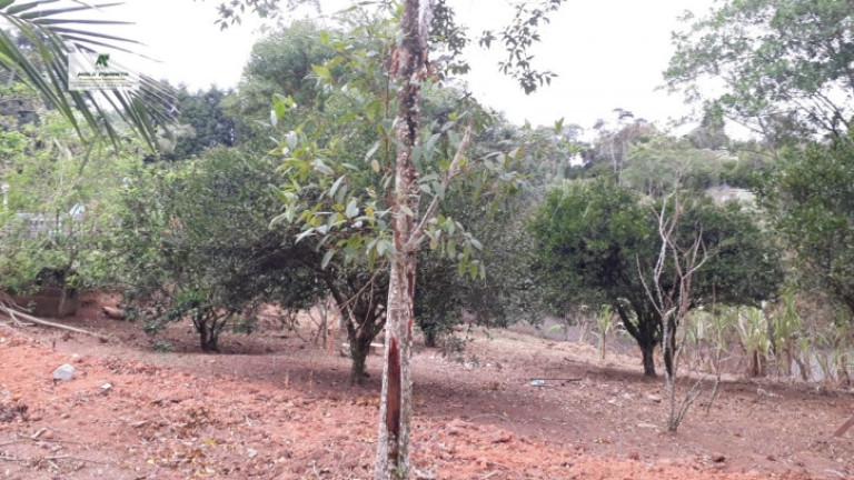 Imagem Chácara com 2 Quartos à Venda, 6.000 m² em Alto Da Serra - São Roque Imagem Chácara com 2 Quartos à Venda, 6.000 m² em Alto Da Serra - São Roque
