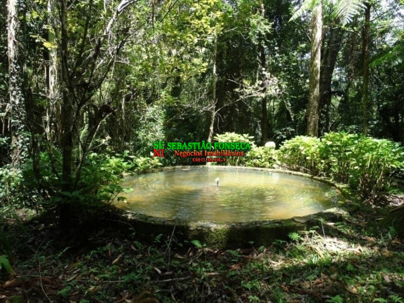 Imagem Chácara com 3 Quartos à Venda, 128.000 m² em São Francisco Xavier - São José Dos Campos Imagem Chácara com 3 Quartos à Venda, 128.000 m² em São Francisco Xavier - São José Dos Campos