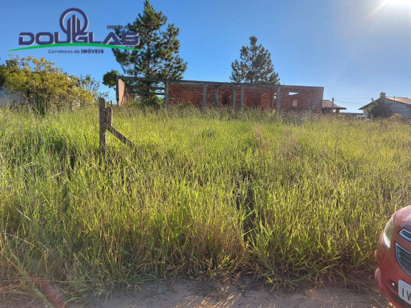 Imagem Casa à Venda, 600 m² em Viamão Imagem Casa à Venda, 600 m² em Viamão
