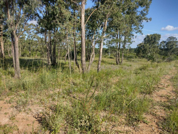 Imagem Terreno à Venda, 20.000 m² em Alto Perequê - Arroio Do Padre