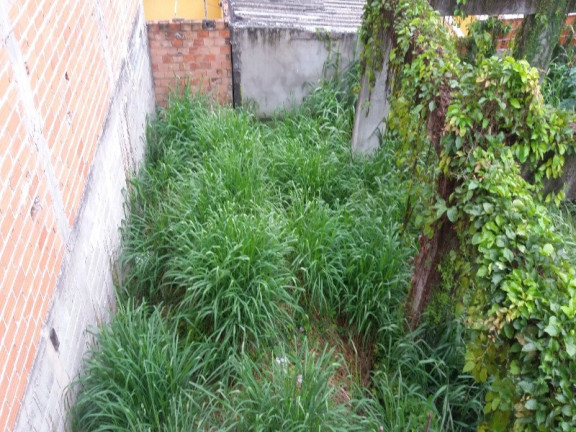 Imagem Terreno à Venda, 358 m² em Pirituba - São Paulo Imagem Terreno à Venda, 358 m² em Pirituba - São Paulo