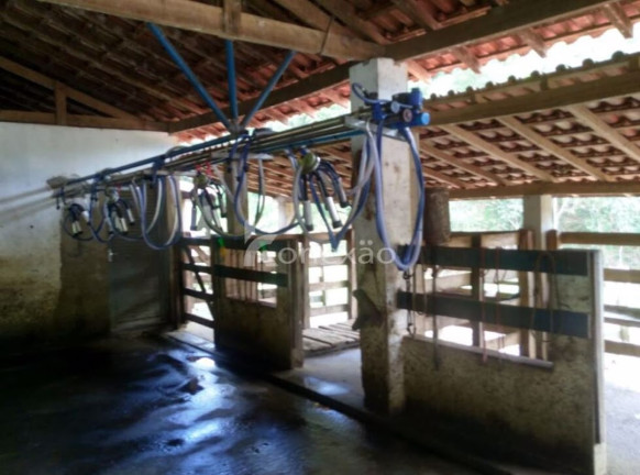 Imagem Fazenda à Venda, 100 m² em Borda Do Campo - Cunha Imagem Fazenda à Venda, 100 m² em Borda Do Campo - Cunha