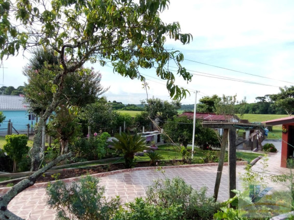 Imagem Casa com 2 Quartos à Venda, 65 m² em Campo Largo Da Roseira - São José Dos Pinhais