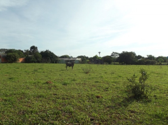 Chácara à Venda, 8 m² em águas Claras - Viamão