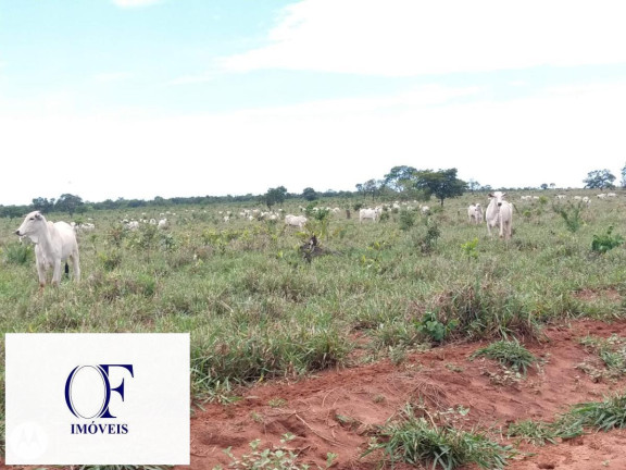 Fazenda à Venda, 3.097 m² em Rural - Chapadão Do Sul