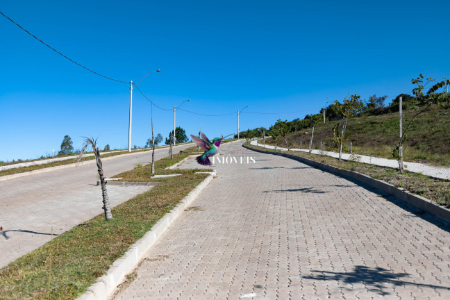 Imagem Terreno à Venda, 187 m² em Planalto - Santana Do Livramento