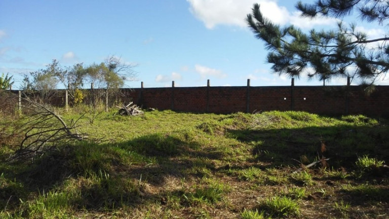 Imagem Chácara à Venda, 1.010 m² em águas Claras - Viamão Imagem Chácara à Venda, 1.010 m² em águas Claras - Viamão