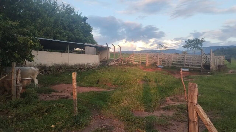 Imagem Chácara à Venda, 2 m² em Vargem Grande Do Sul Imagem Chácara à Venda, 2 m² em Vargem Grande Do Sul