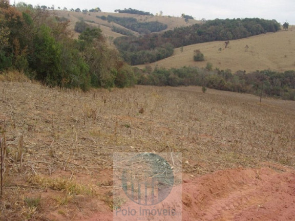 Imagem Imóvel à Venda, 96.800 m² em Zona Rural - Jacui