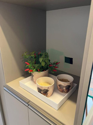 Imagem Apartamento com 1 Quarto à Venda, 32 m² em Boa Viagem - Recife