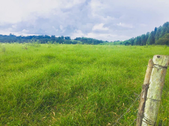 Imagem Chácara à Venda, 9 m² em Area Rural De Avaré - Avaré Imagem Chácara à Venda, 9 m² em Area Rural De Avaré - Avaré