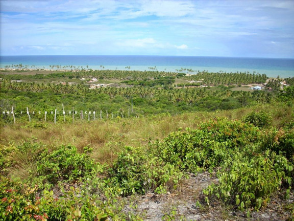 Imagem Terreno à Venda, 100.000 m² em Barra Do Itariri - Conde