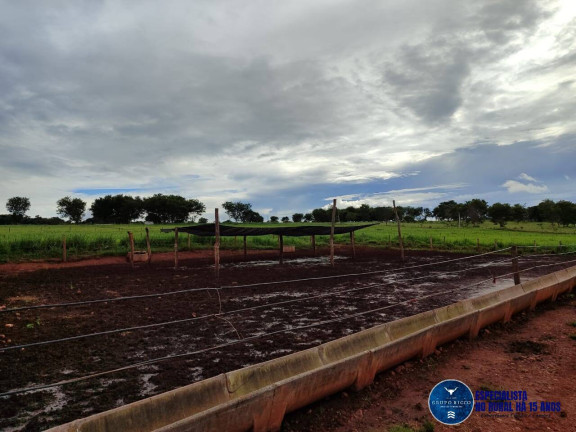 Imagem Chácara à Venda, 8 m² em Zona Rural - Taquaral De Goiás Imagem Chácara à Venda, 8 m² em Zona Rural - Taquaral De Goiás