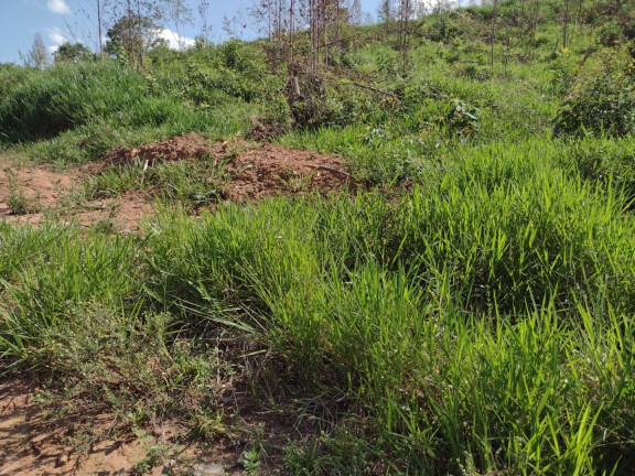 Imagem Fazenda à Venda, 100 m² em Centro - Guaratinguetá Imagem Fazenda à Venda, 100 m² em Centro - Guaratinguetá