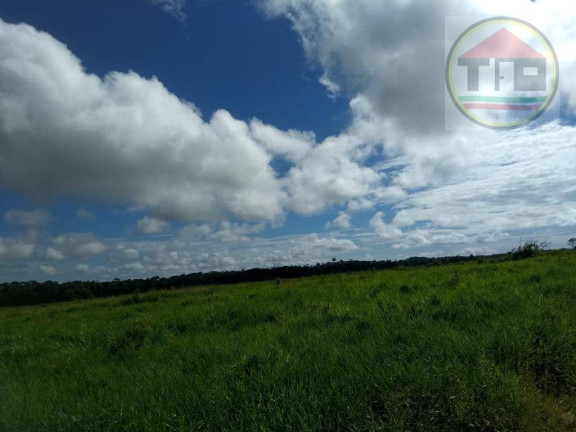 Imagem Fazenda à Venda, 105.512 m² em Logradouro Sem Nome, Marabá - Pa, Brasil -5.523790, -49.041041 - Marabá Imagem Fazenda à Venda, 105.512 m² em Logradouro Sem Nome, Marabá - Pa, Brasil -5.523790, -49.041041 - Marabá