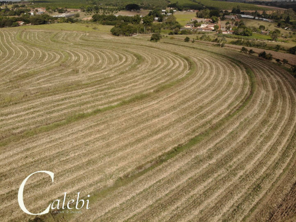 Imagem Chácara com 4 Quartos à Venda, 11 m² em área Rural De Mogi Mirim - Moji Mirim Imagem Chácara com 4 Quartos à Venda, 11 m² em área Rural De Mogi Mirim - Moji Mirim