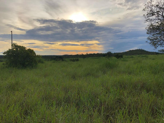Imagem Fazenda à Venda,  em Rural - Figueirópolis