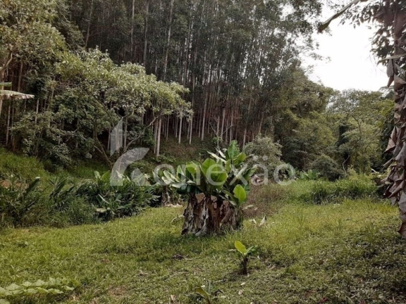Imagem Chácara com 4 Quartos à Venda, 200 m² em Centro - Paraibuna Imagem Chácara com 4 Quartos à Venda, 200 m² em Centro - Paraibuna